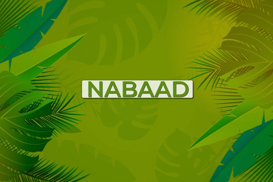 Astaan's Nabaad Program